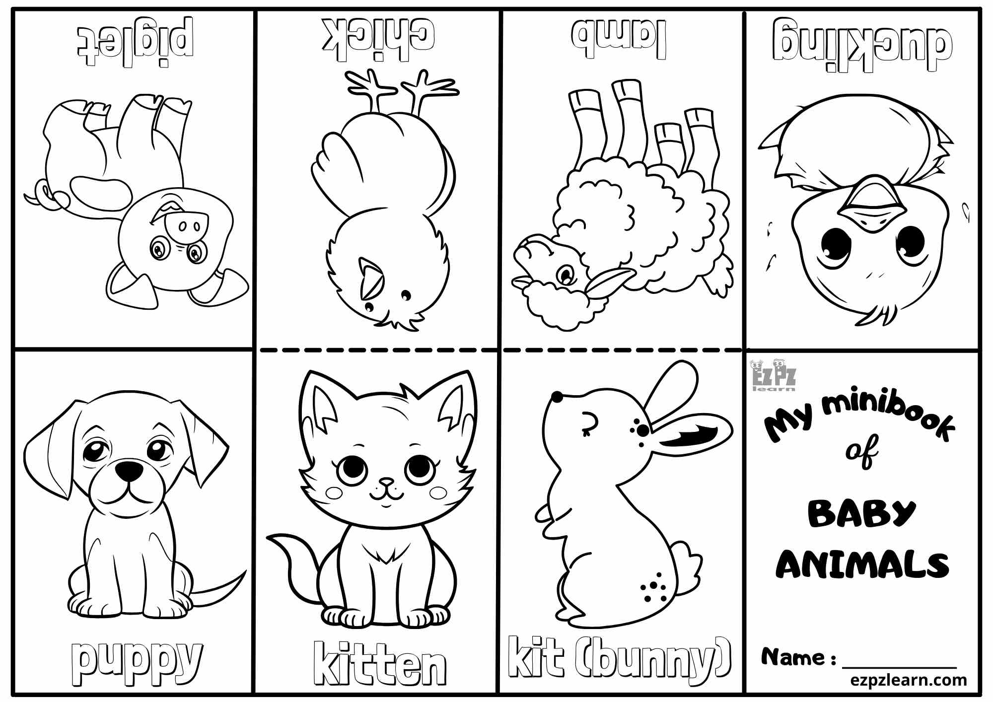 Coloring the animals
