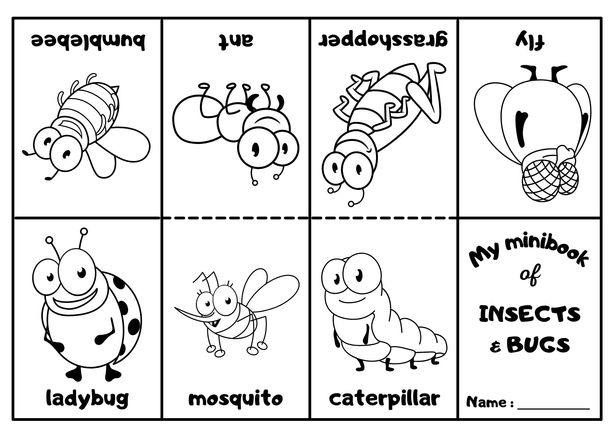 coloring pages insects