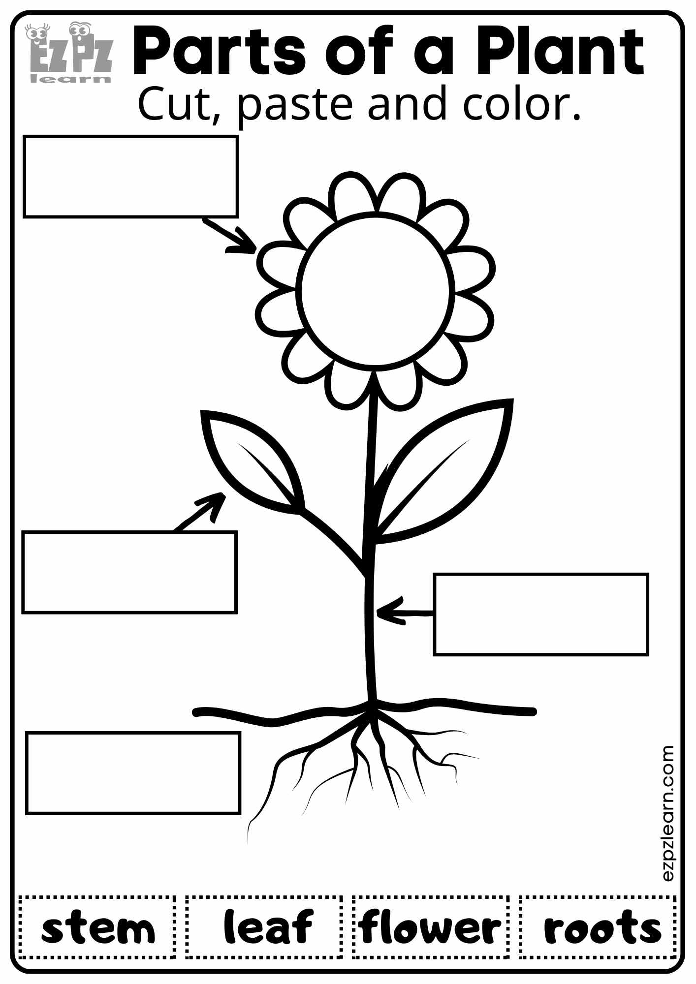 Parts of a Plant Vocabulary Worksheet Cut, Paste and Color Activity for ...