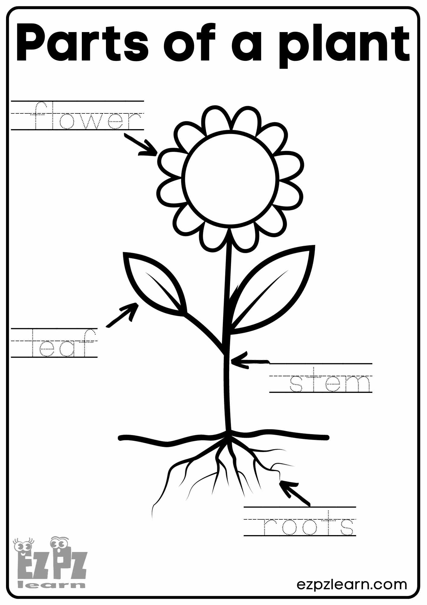 Parts of a Plant Vocabulary Worksheet Write the Words and Color the Flower Activity for Kindergarten K5 and ESL Students Free Printable PDF Download - Ezpzlearn.com