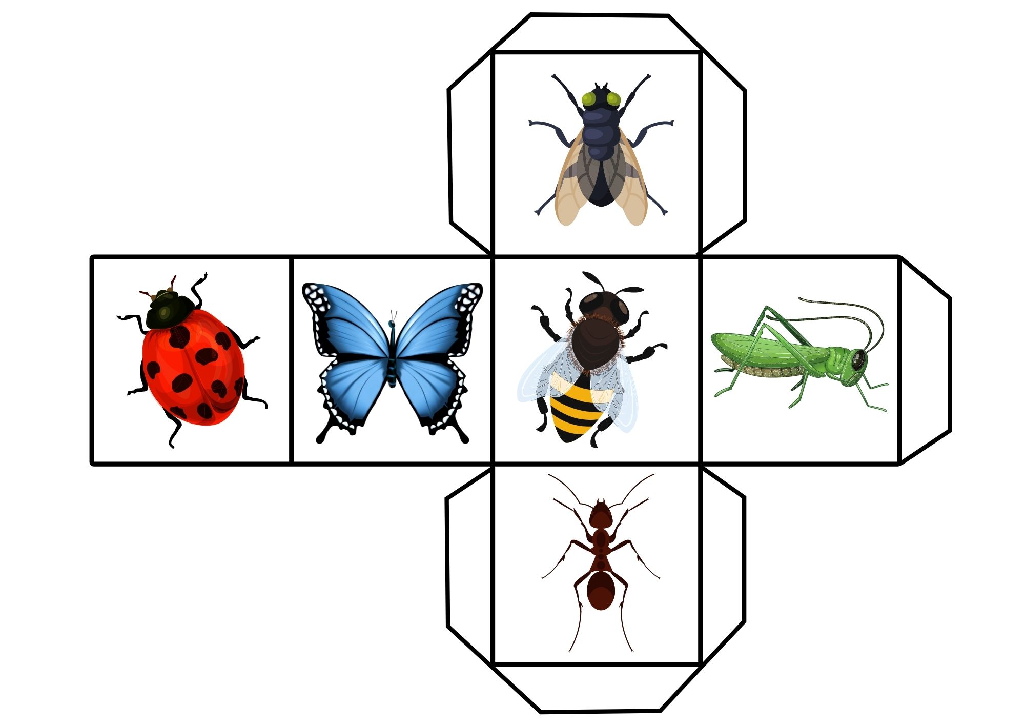 insects-dice-game-ezpzlearn-com