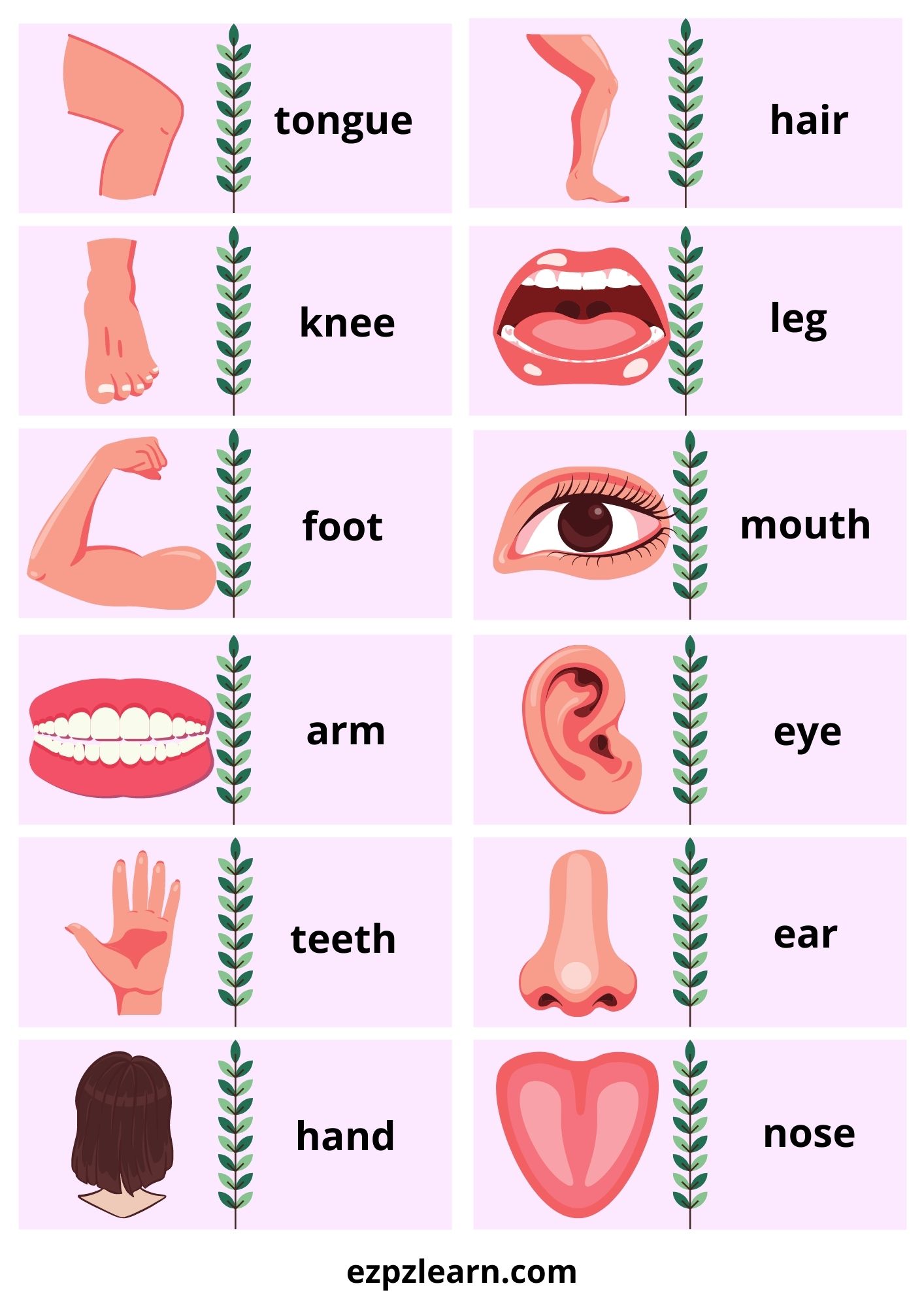 Body Dominoes Game With Words - Ezpzlearn.com