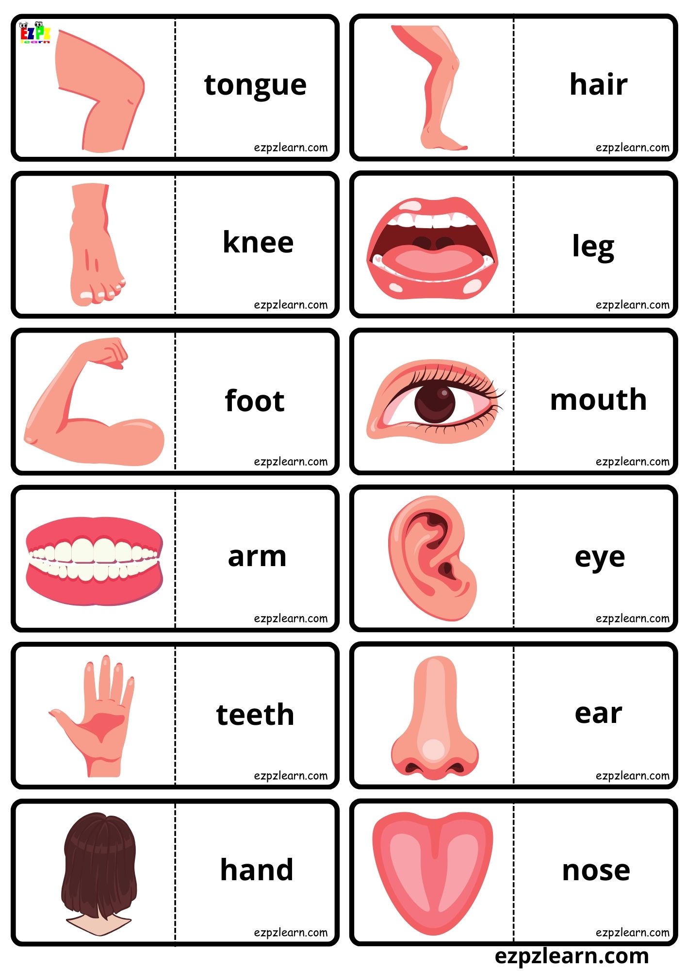 my-body-vocabulary-dominoes-matching-game-for-kids-free-pdf-download-ezpzlearn-com
