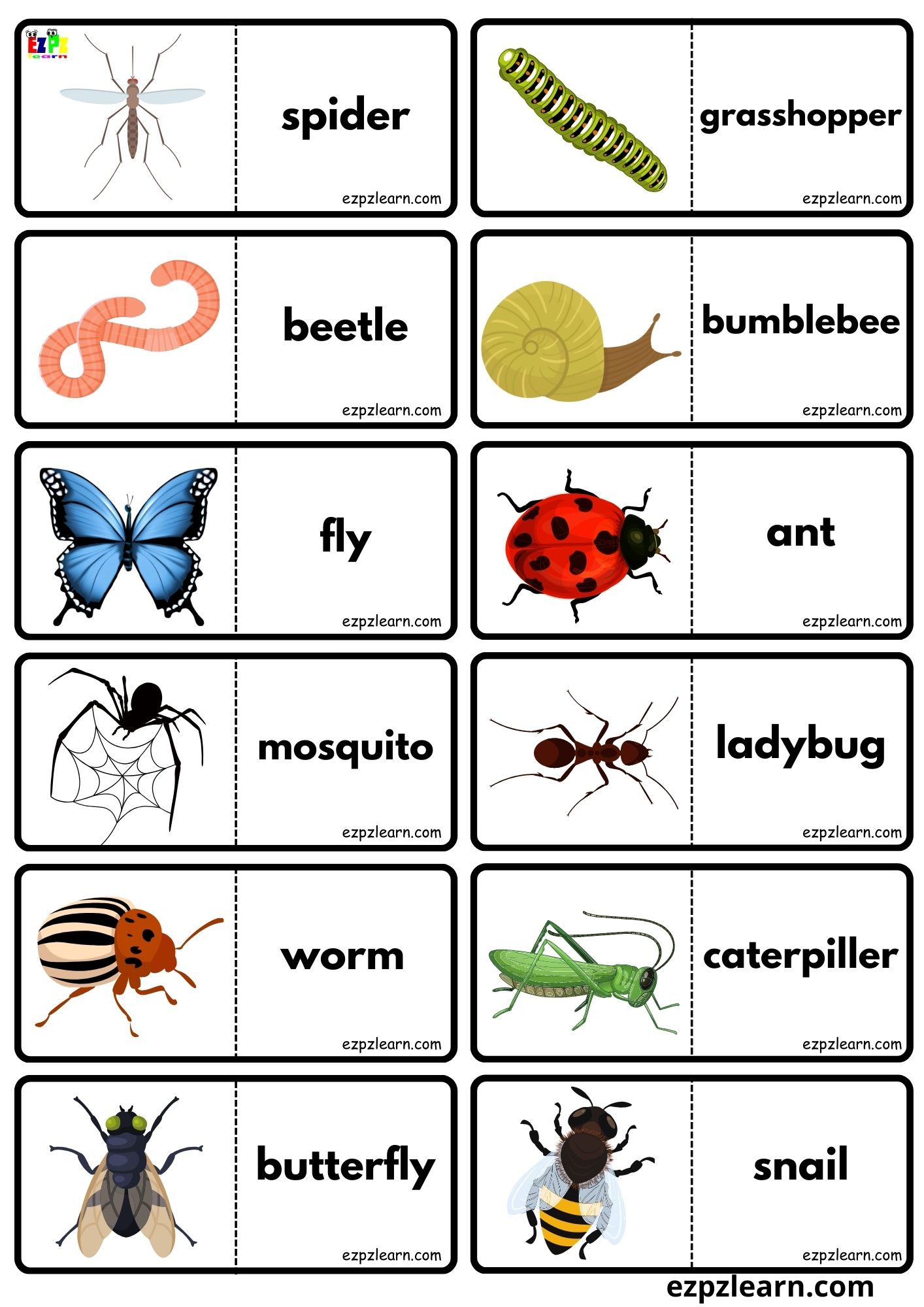 Insects Bugs - Ezpzlearn.com