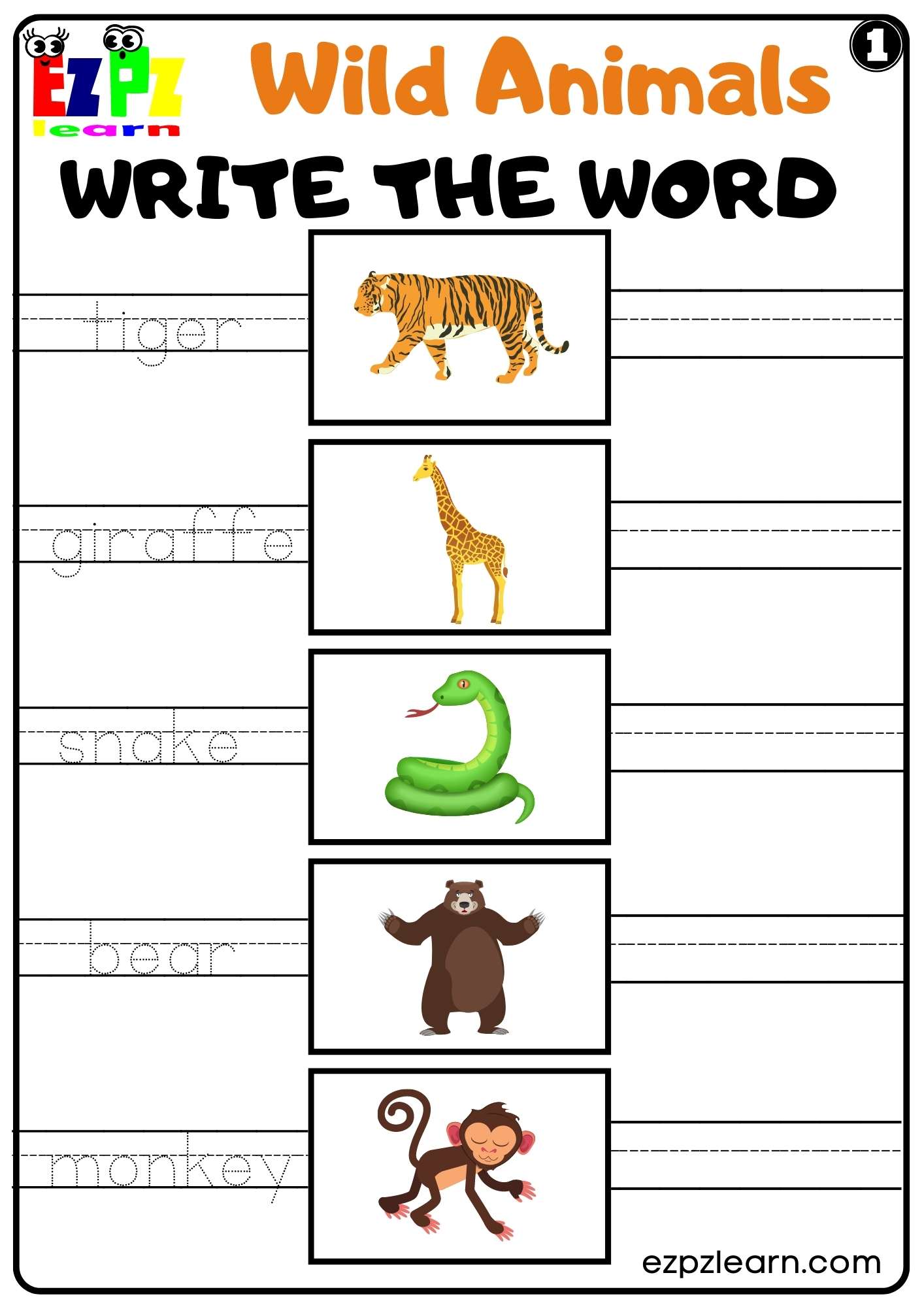Wild Animals Write the Word Set 1 For kids and ESL PDF Download -  