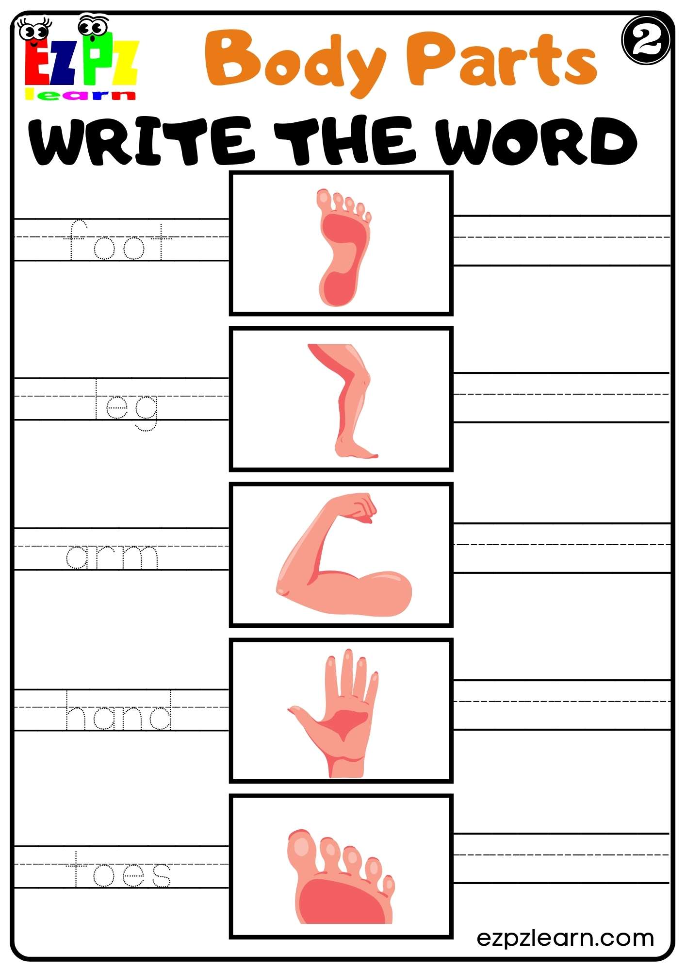Body Parts Write the Word Worksheets for Kids and ESL PDF Download set ...