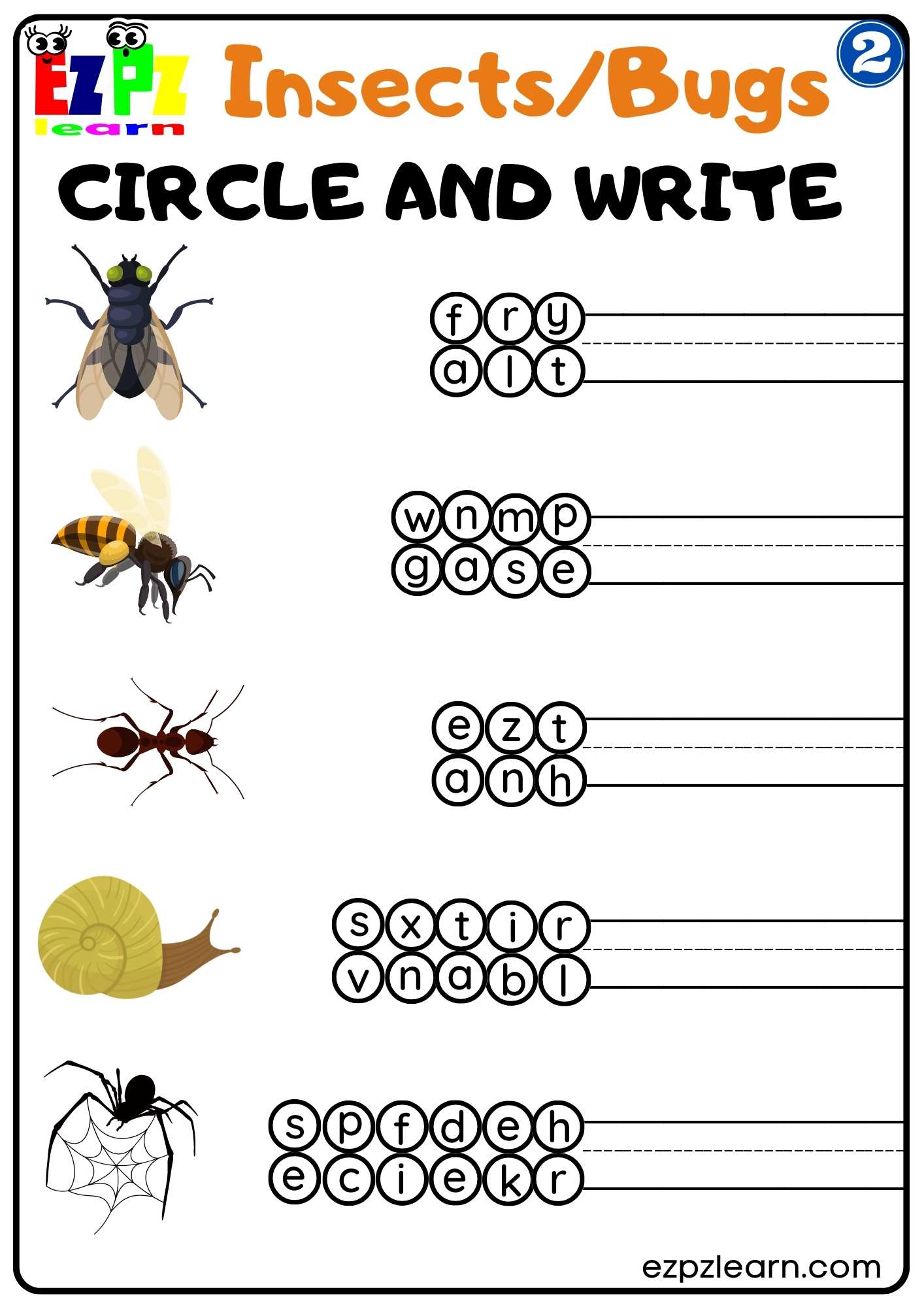 Insects Bugs - Ezpzlearn.com