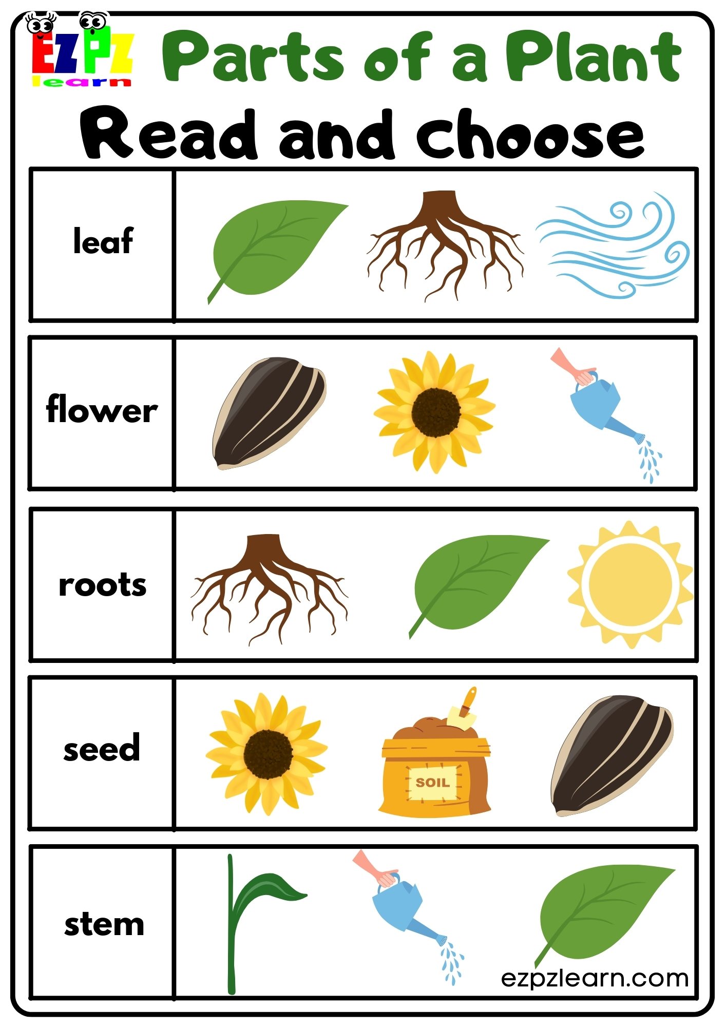 Parts of a Plant Read and Choose Worksheet for Kindergarten or ESL ...