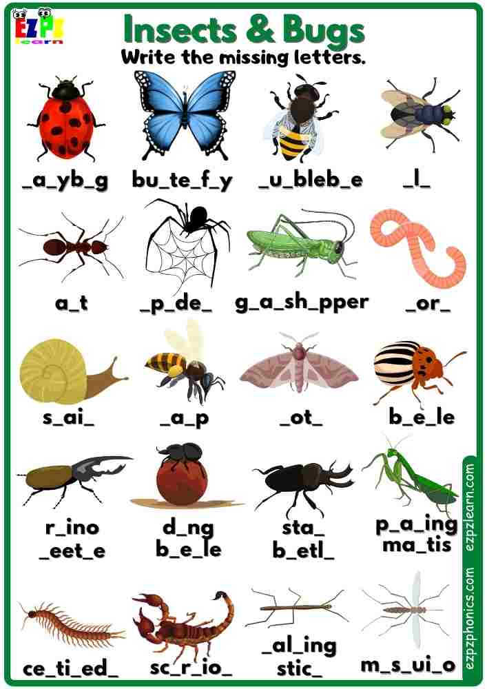 Insects And Bugs Vocabulary Write The Missing Letters Worksheet 