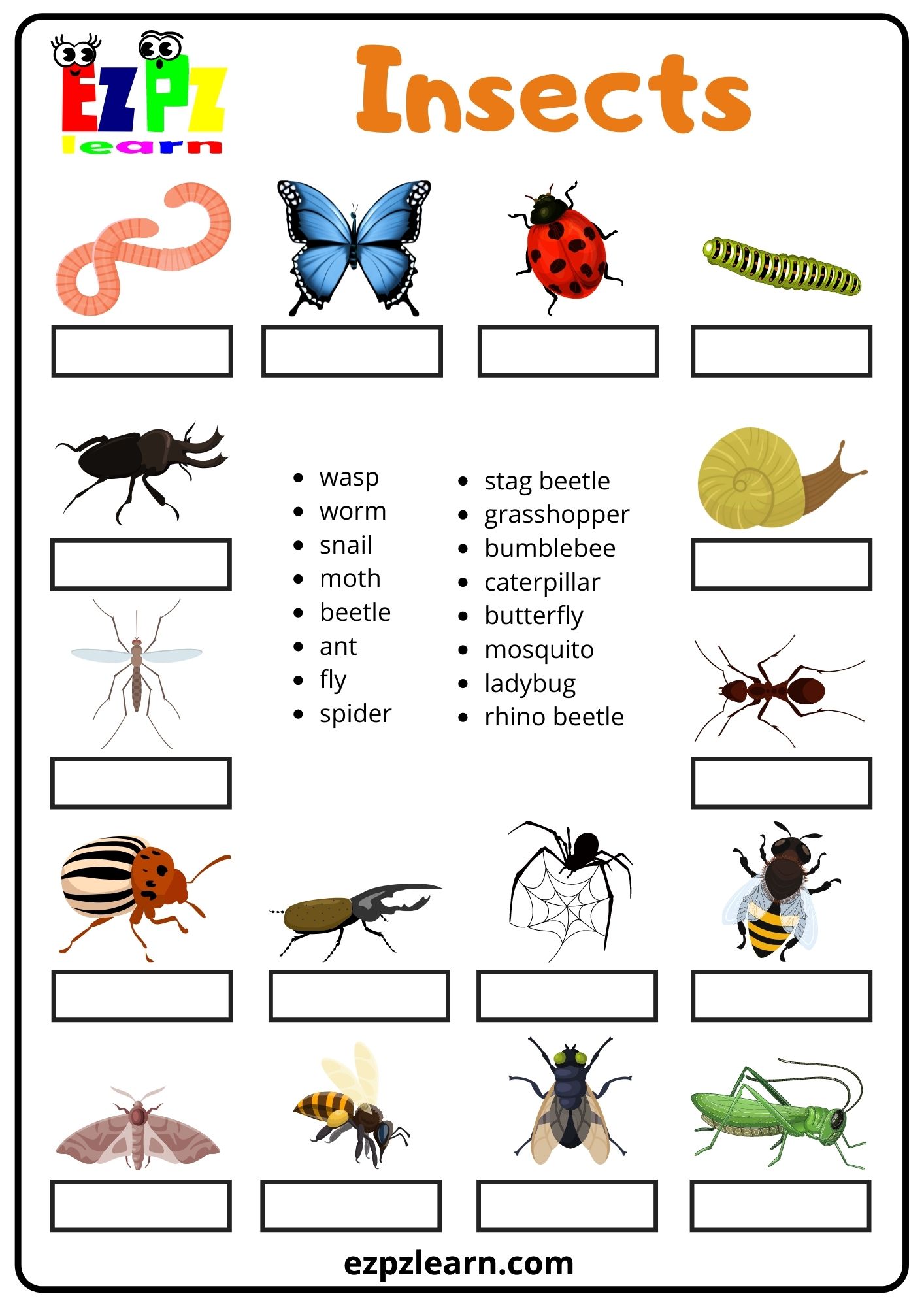 Insects Bugs - Ezpzlearn.com