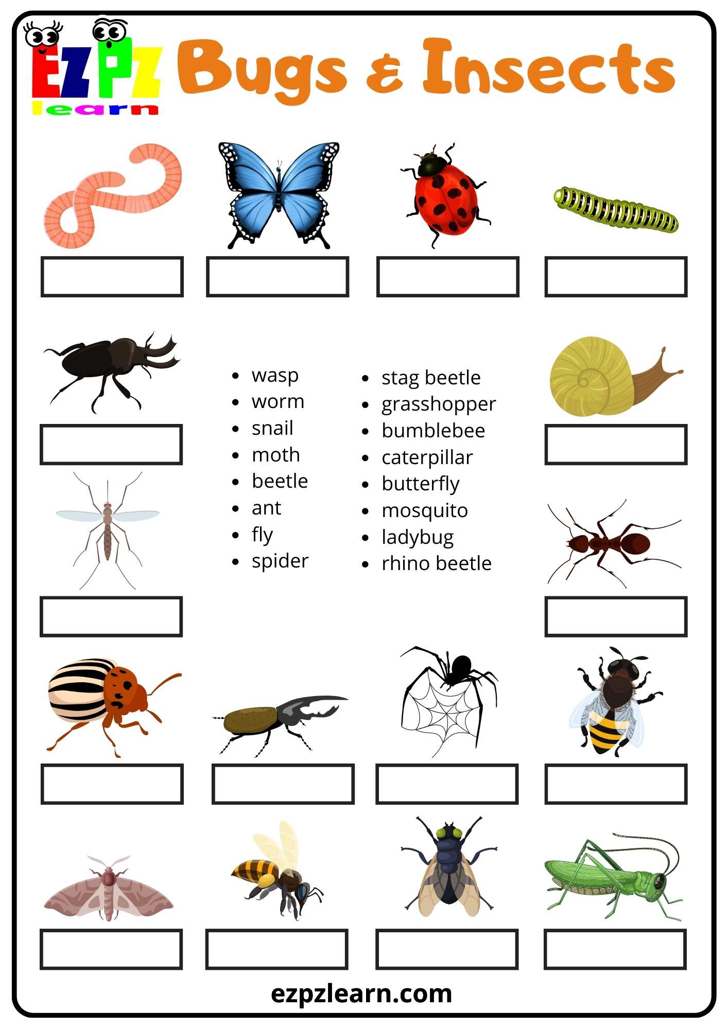 Insect Word Search Worksheet