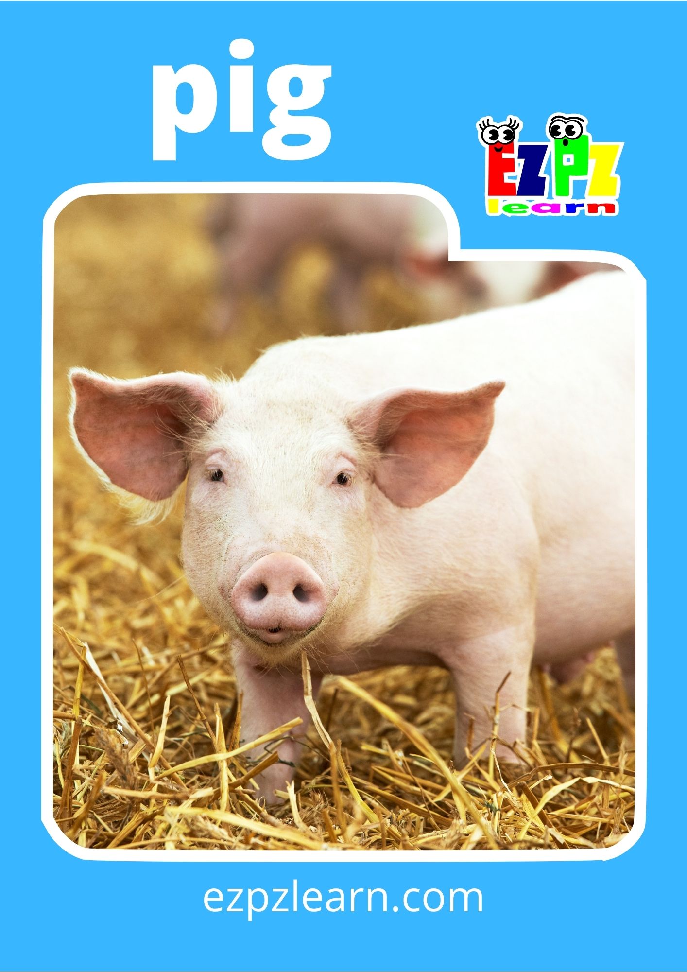 Farm Animals Photo Flashcards - Ezpzlearn.com