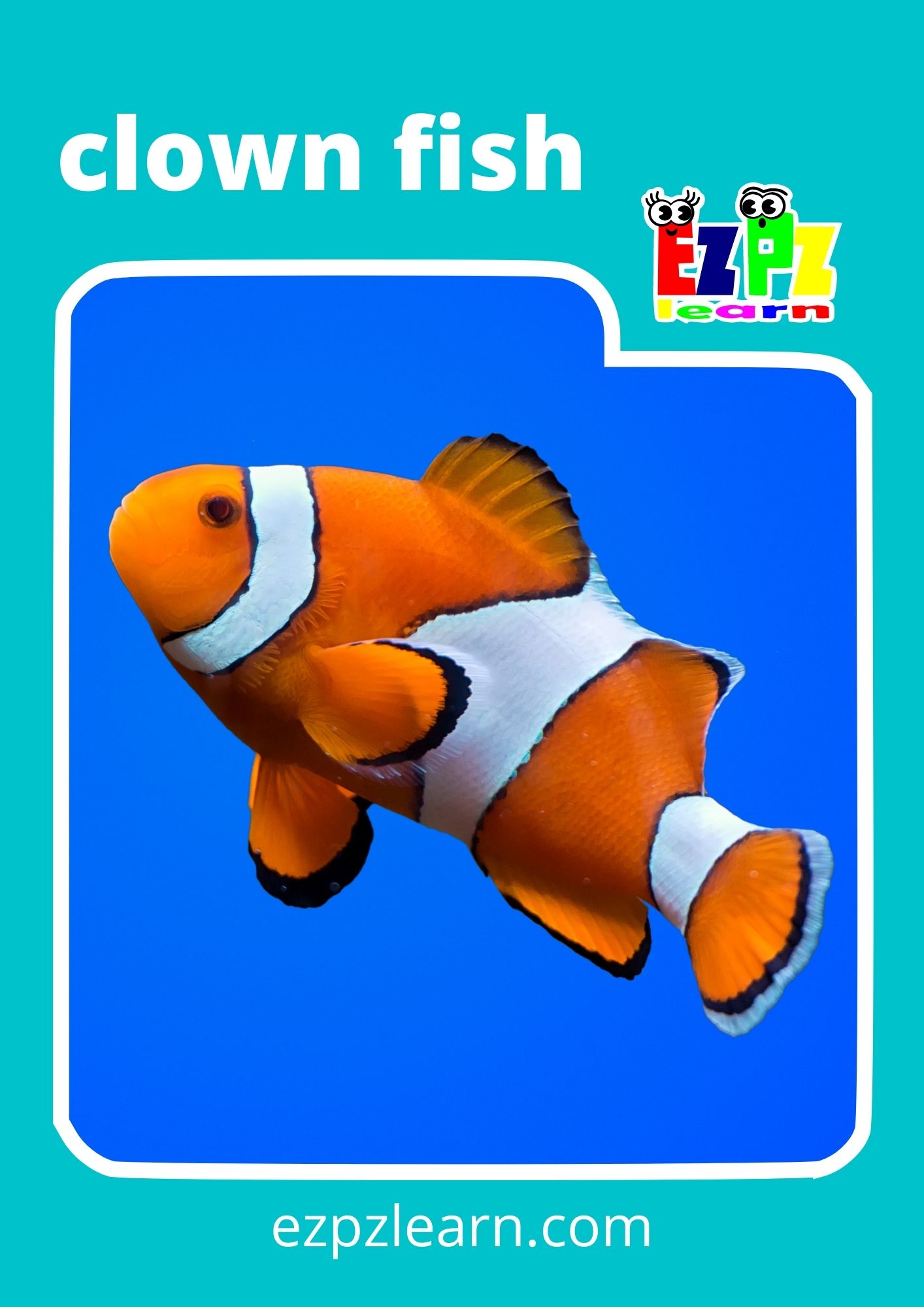 Sea Animals Photo Flashcards - Ezpzlearn.com