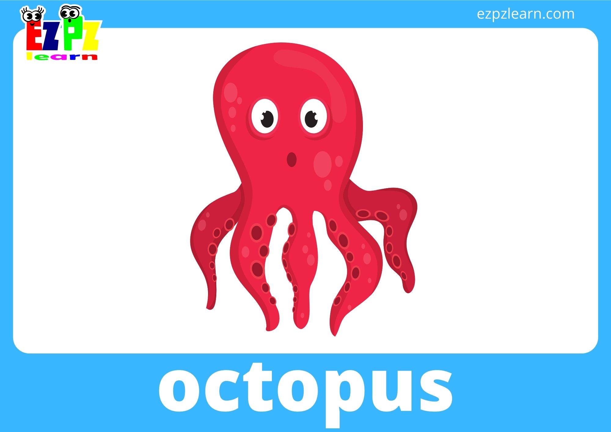 Sea Animal Flashcards With Words use online or PDF download 15 pages ...