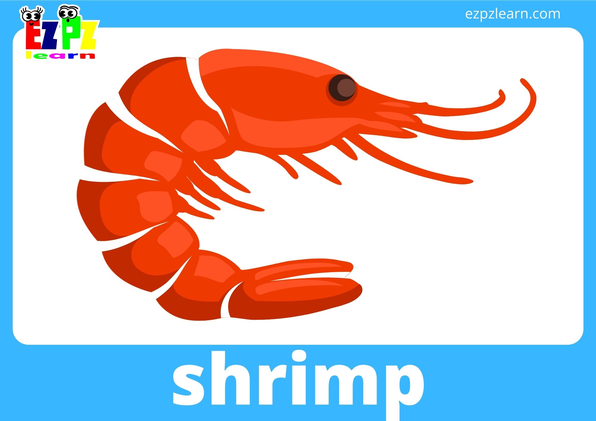 Sea Animal Flashcards With Words use online or PDF download 15 pages ...