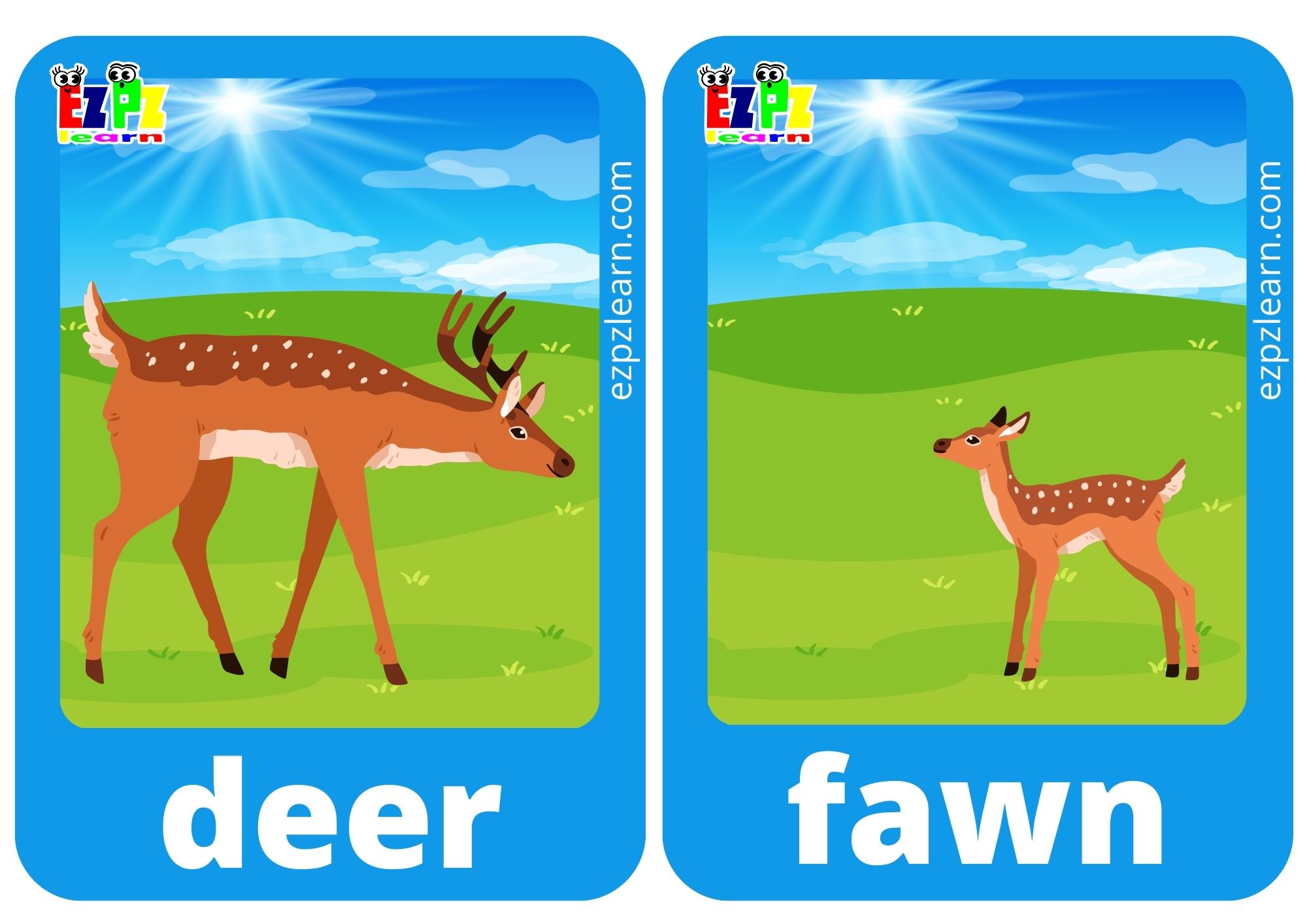 Animals and Their Young Mini Color Flashcards for Kindergarten and ...