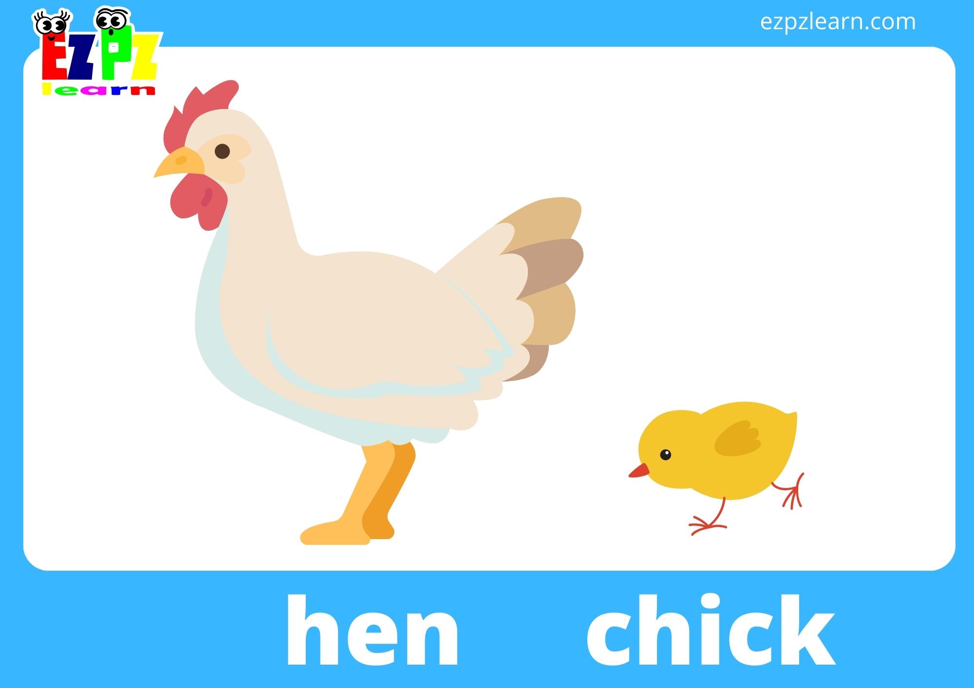 Animals and Their Young Flashcards for Kindergarten and English ...