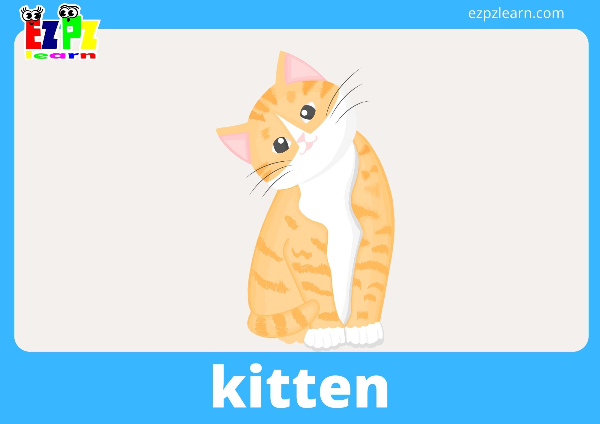 Baby Animals Vocabulary Flashcards for English Language Learners and ...