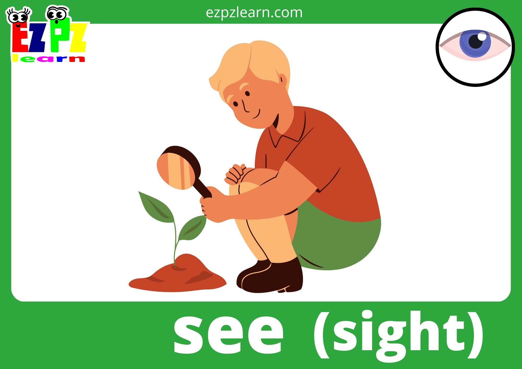 Five Senses Flashcards for Kids