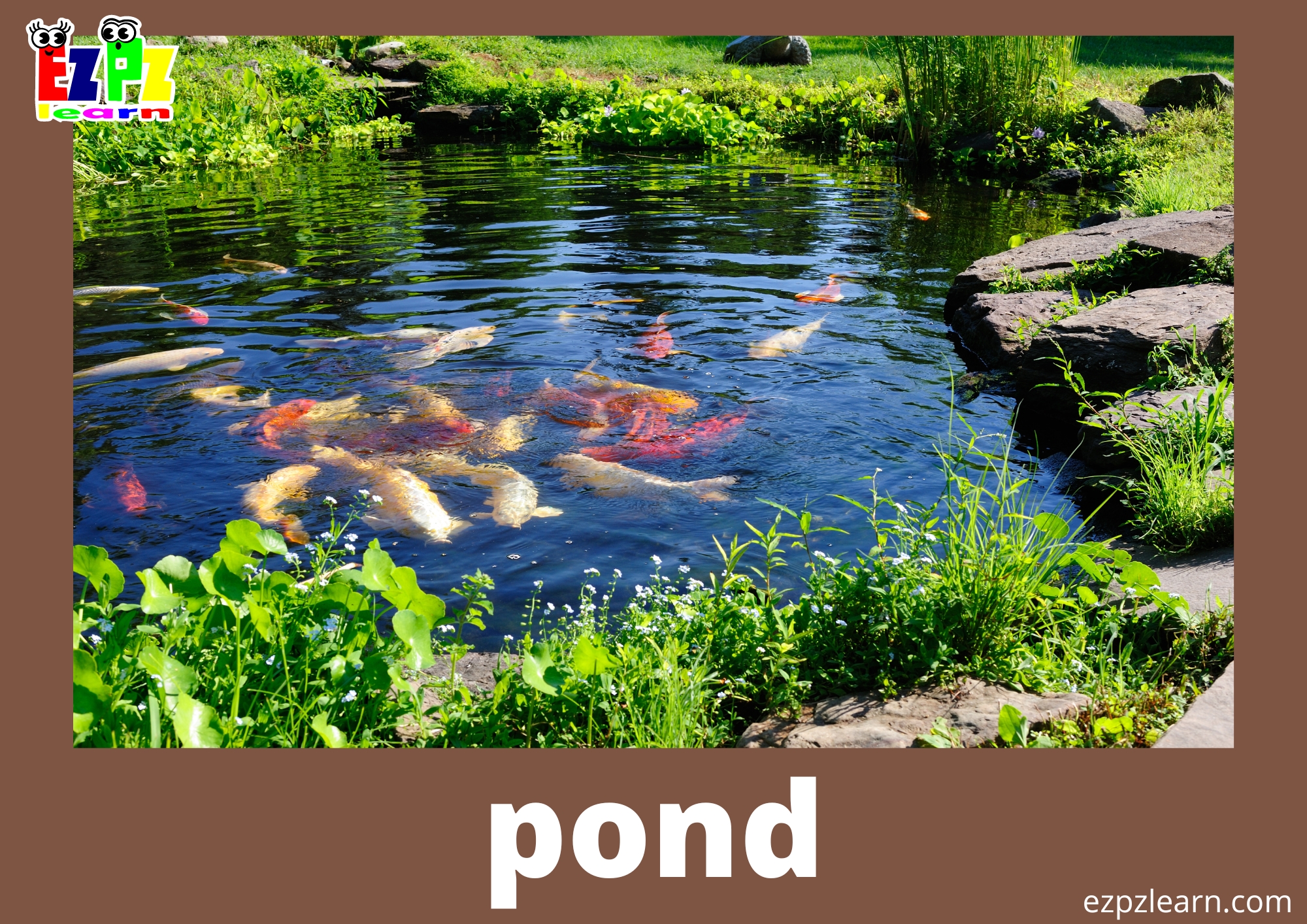 Land and Water Forms Photo Flashcards - Ezpzlearn.com
