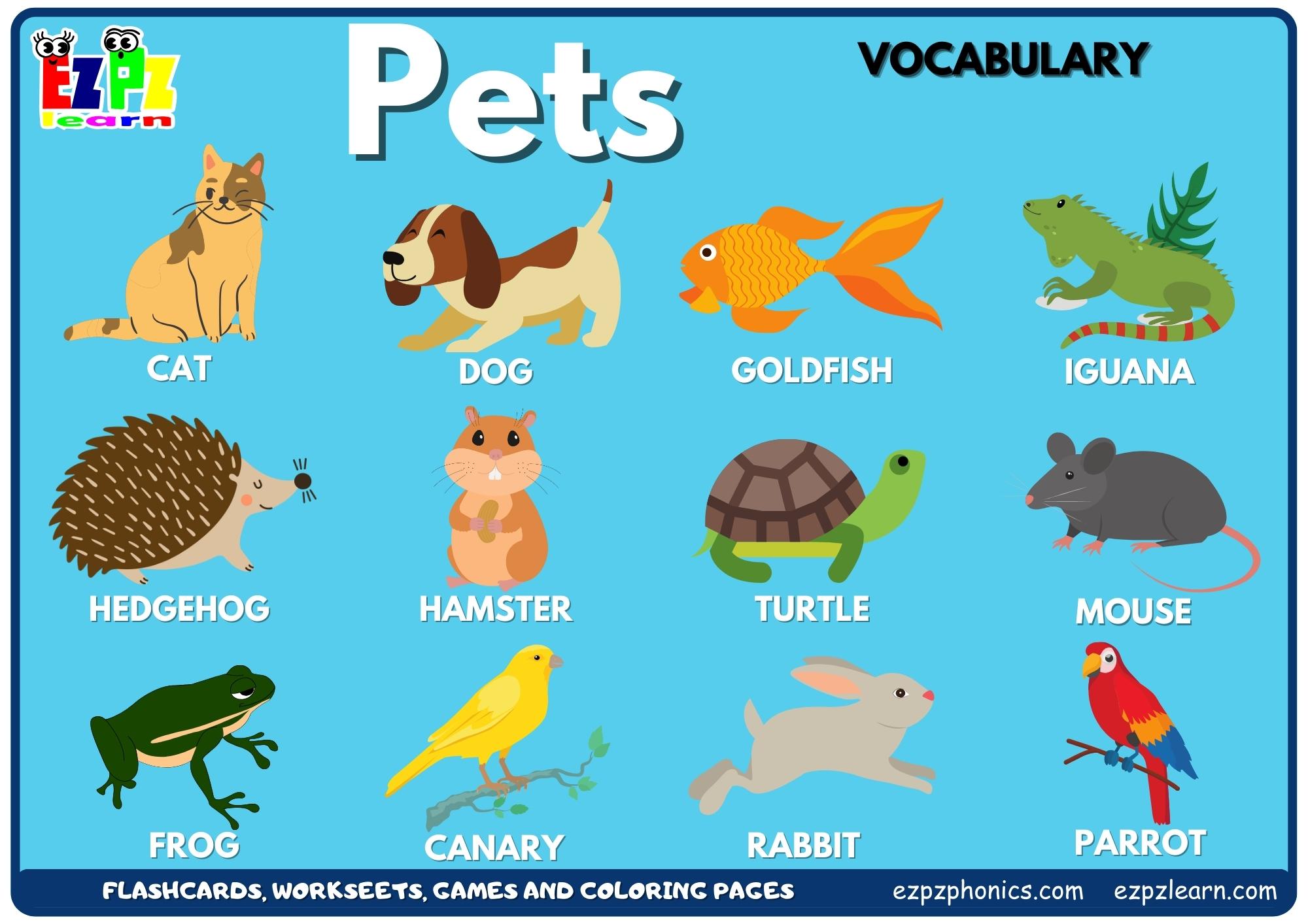 Pets Vocabulary Picture Dictionary Join Now for Free Flashcards ...