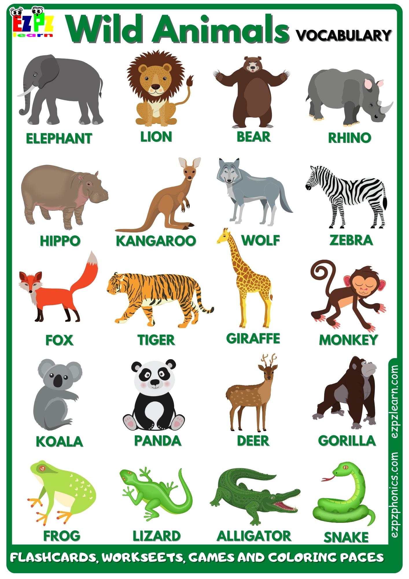 Wild Animals 